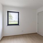 House to rent : Venlosesteenweg 235, 3640 Ophoven, Kinrooi on Realo
