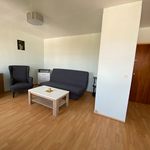 Appartement de 30 m² avec 1 chambre(s) en location à Montargis