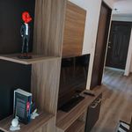 Rent 1 bedroom apartment of 80 m² in Santiago