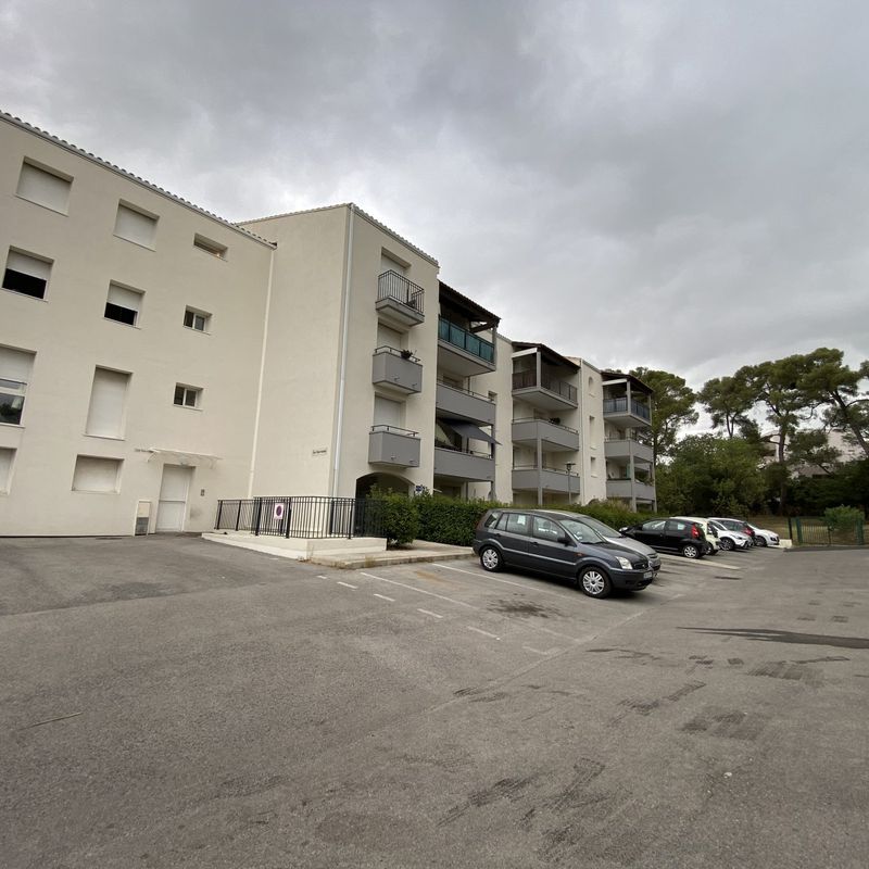Montpellier Chateau d'O - Studio - 25,88 - FDI Services Immobiliers Montferrier-sur-Lez