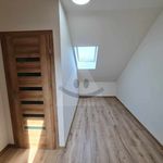 Pronajměte si 1 ložnic/e dům o rozloze 240 m² v Dolní Olešnice