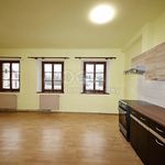 Rent 1 bedroom apartment of 50 m² in Liberec