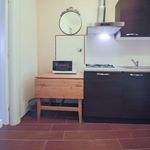 Rent 1 bedroom apartment of 50 m² in Firenze