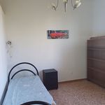 Rent 4 bedroom apartment of 80 m² in Pisa