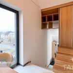 Rent 2 bedroom apartment of 68 m² in Plzeň