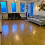 Wynajmij 3 sypialnię apartament z 63 m² w Poznań