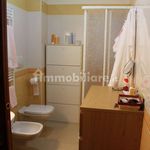 Rent 2 bedroom apartment of 70 m² in Corato