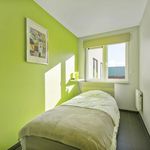 Rent 2 bedroom apartment in Koksijde