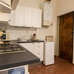 Affitto 1 camera appartamento di 50 m² in Firenze
