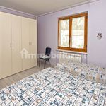 Rent 5 bedroom house of 100 m² in Grosseto