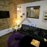 Rent 1 bedroom apartment of 24 m² in Zagreb