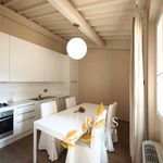 Rent 4 bedroom house of 85 m² in Firenze