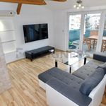 Rent 1 bedroom apartment of 85 m² in Pilsen