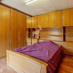 Rent 1 bedroom house of 46 m² in La Louvière