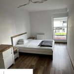 Rent 1 bedroom apartment of 51 m² in Gliwice