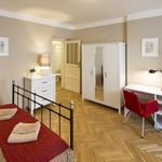Rent a room of 30 m² in Prague