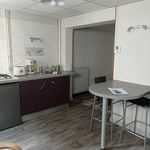 Rent 1 bedroom apartment of 23 m² in bourgenbresse