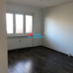 Rent 1 bedroom apartment in Orlová