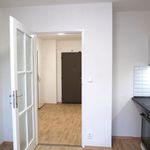 Rent 1 bedroom apartment of 42 m² in Prague