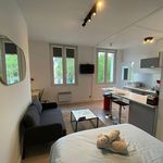 Rent 1 bedroom house of 24 m² in Rouen