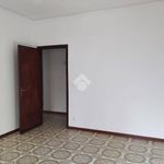 Affitto 4 camera appartamento di 110 m² in Palermo