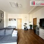 Rent 3 bedroom apartment of 58 m² in Ústí nad Labem