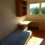 Rent 1 bedroom apartment of 20 m² in Belfort