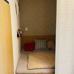 Pronajměte si 1 ložnic/e byt o rozloze 30 m² v Město Albrechtice