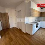 Rent 1 bedroom apartment of 40 m² in Zlín