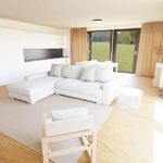 Rent 2 bedroom apartment of 96 m² in Bellinzona