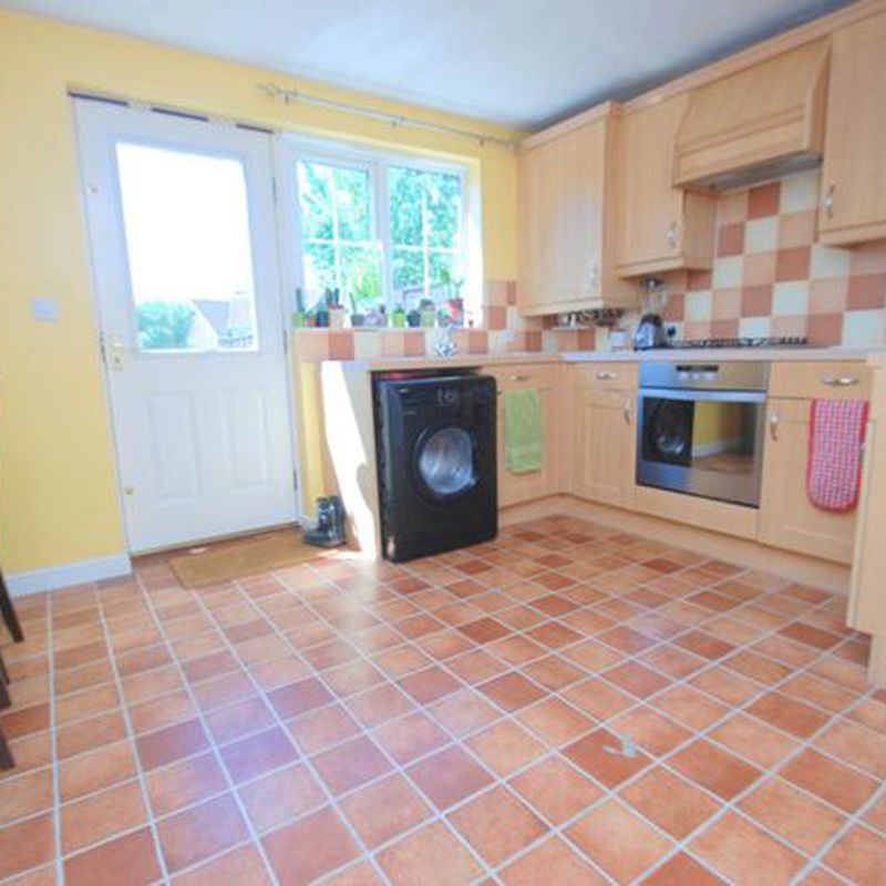 Semi-detached house to rent in Fresher Mews, Norwich NR5 Bowthorpe