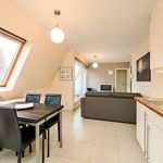 Rent 1 bedroom apartment in Ostend