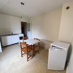 Rent 1 bedroom apartment of 29 m² in NANCY