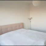 Rent 3 bedroom apartment of 60 m² in Halle