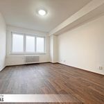 Rent 1 bedroom apartment of 48 m² in Ostrava