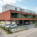 Rent 1 bedroom house of 80 m² in Hasselt