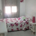 Rent 4 bedroom apartment in Elche