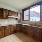 Rent 1 bedroom apartment in Puurs-Sint-Amands