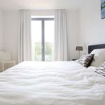 Rent 2 bedroom apartment of 85 m² in Elsene