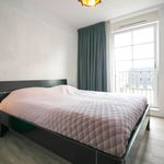 Rent a room of 110 m² in Zaandam