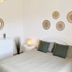 Rent 1 bedroom apartment of 76 m² in Catanzaro