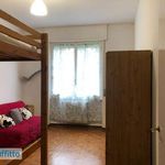 Rent 2 bedroom apartment of 65 m² in Milano