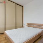 Rent 4 bedroom apartment of 102 m² in Brno