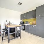 Rent 1 bedroom apartment in Thuin