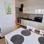 Rent 2 bedroom apartment of 68 m² in Plesná