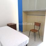 Rent 1 bedroom apartment of 16 m² in Novara