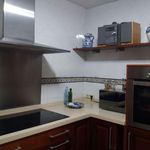 Rent 3 bedroom apartment of 100 m² in Seville