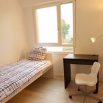 Rent a room of 77 m² in Cergy