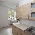 Rent 1 bedroom apartment of 34 m² in Meziboří