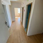 Pronajměte si 3 ložnic/e byt o rozloze 58 m² v Litvínov